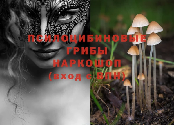 ешки Осинники