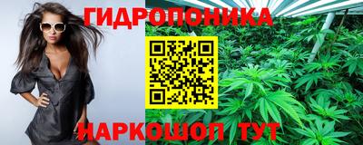 молекула духа Апрелевка