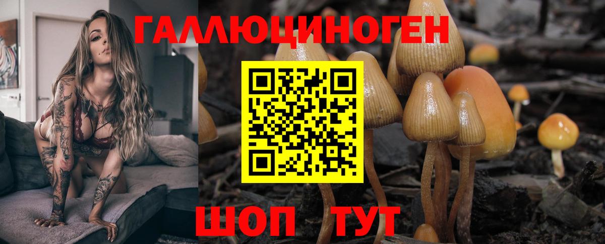 Галлюциногенные грибы мицелий  Белебей 