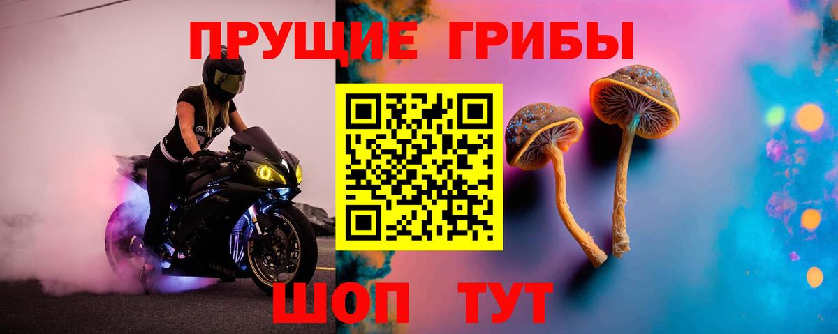 Псилоцибиновые грибы Cubensis  Псилоцибиновые грибы Psilocybe  Вход с VPN  Белебей 